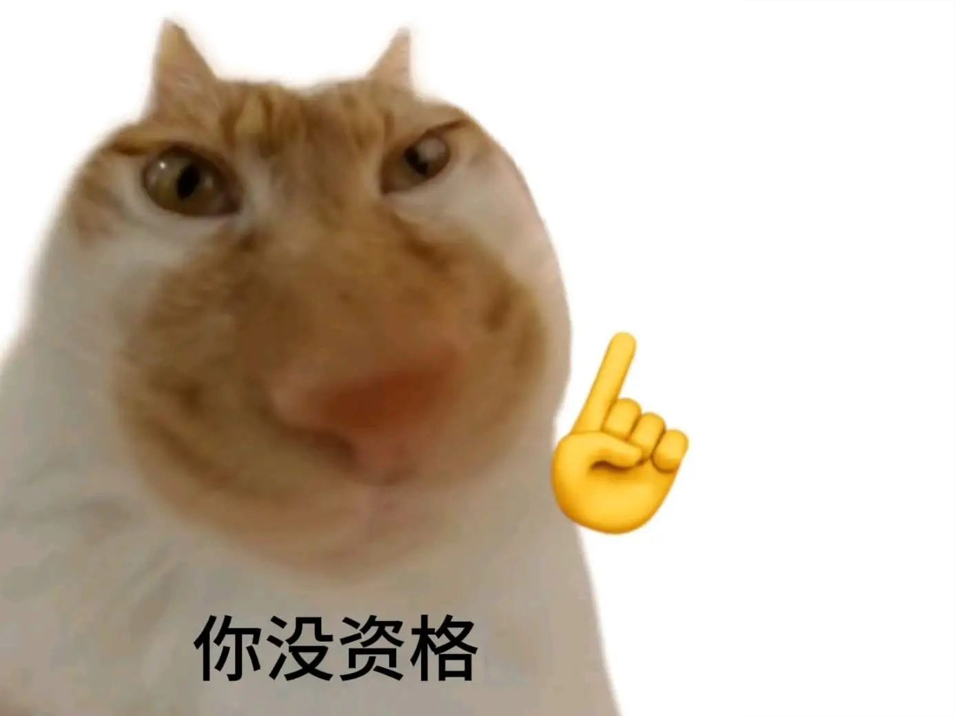 低预算如何开发体育赛事直播平台的关键功能？